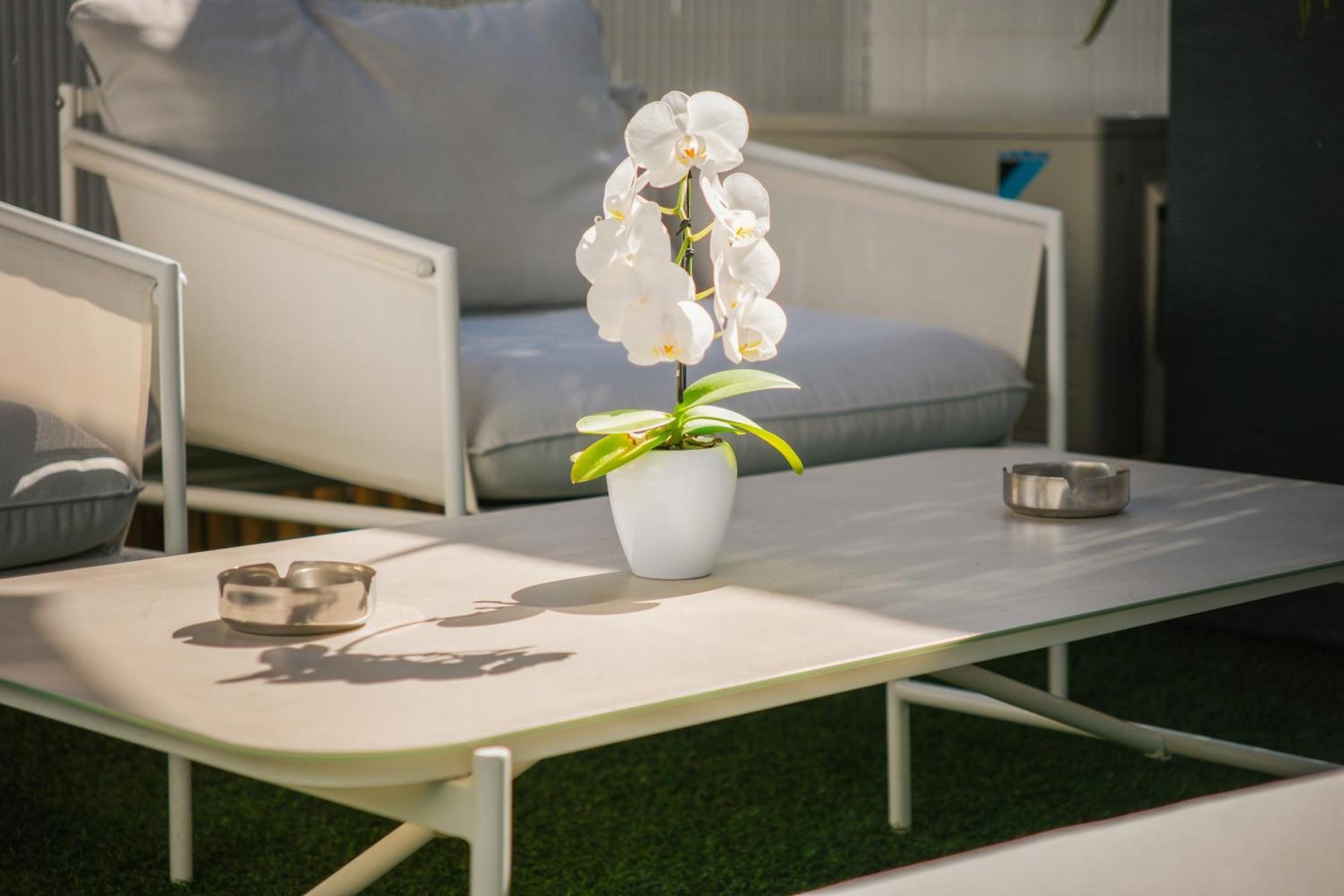 Villa Bono Jacuzzi & Spa Saint-Laurent-du-Var Extérieur photo
